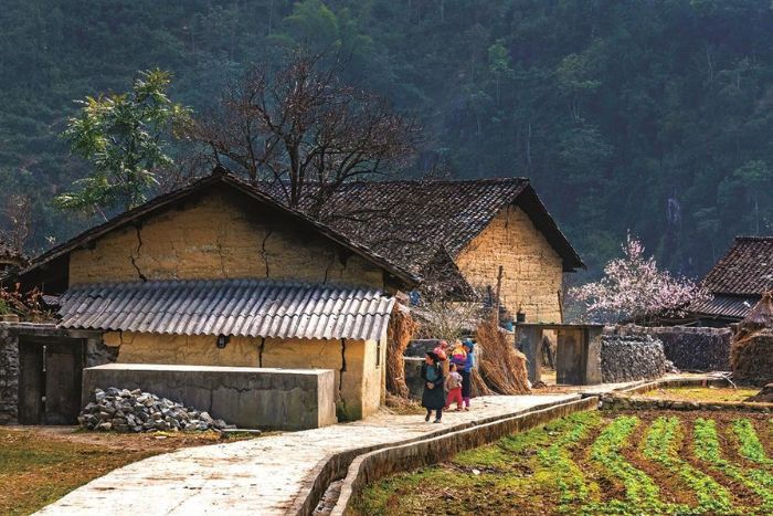 Beauté paisible du village de Lao Xa