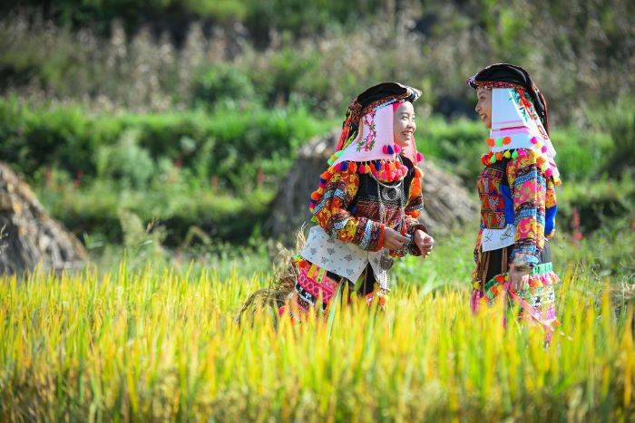 L'agriculture reste la principale activité économique du peuple Lo Lo