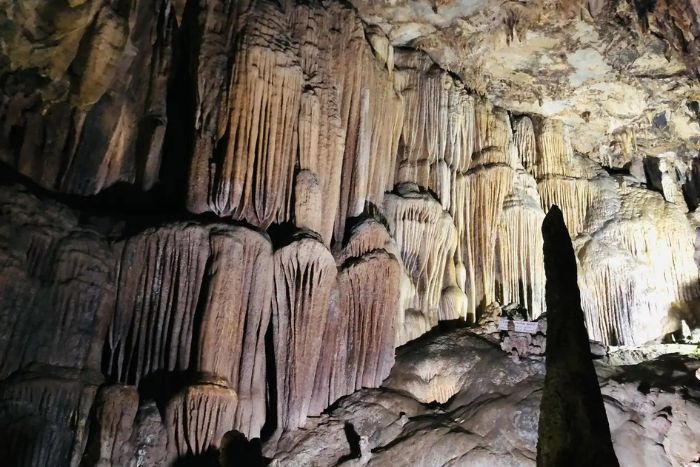 Différentes formes de stalactites peuvent être trouvées dans la grotte