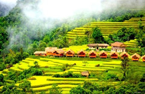 Quand Partir Ha Giang ? Meilleure Période Pour Visiter Le Boucle Ha Giang