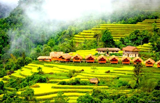 Quand Partir Ha Giang ? Meilleure Période Pour Visiter Le Boucle Ha Giang