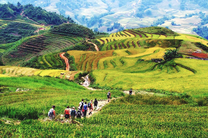 Quand partir à Ha Giang ?