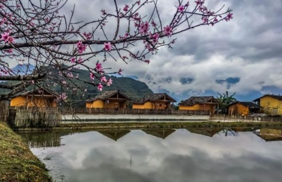 Visitez Le Village De Nam Dam à Quan Ba, Ha Giang