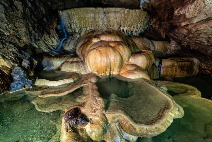 Lotus géant à l'intérieur de la grotte de Nam Tan