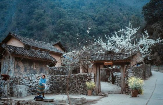 La Maison De Pao - Découvrir Lidentité Ethnique Des Hmong à Ha Giang
