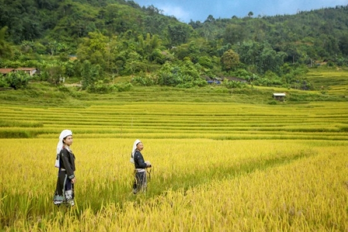 L’ethnie Dao à Ho Thau Ha Giang