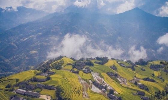 Rizière En Terrasse De Ho Thau, Hoang Su Phi Ha Giang