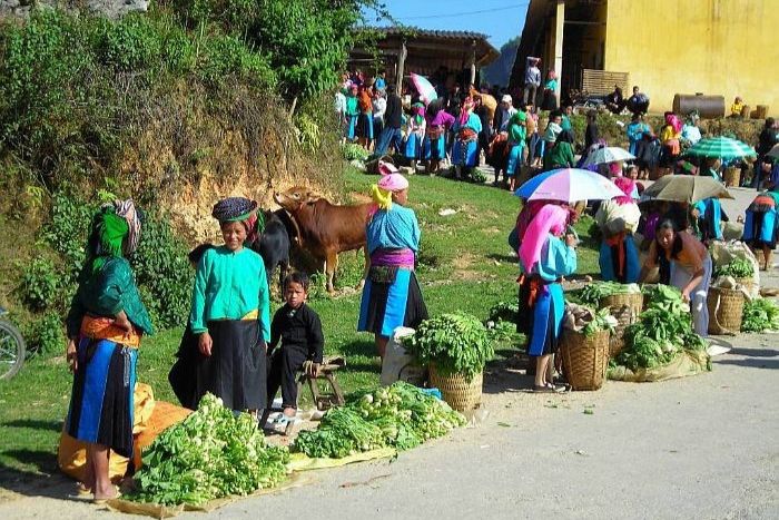 Marché de Pho Bang, un incontournable lors d'une visite de la vallée de Sung La