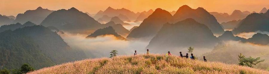 Vallée de Sung La - Beauté poétique de Ha Giang