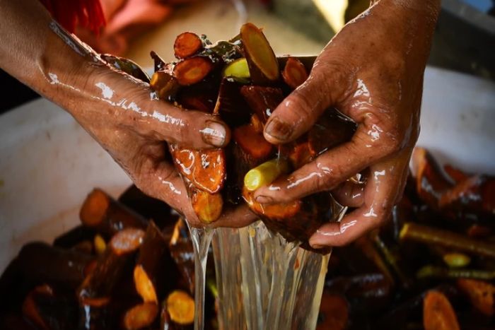 Les matières premières, après avoir été trempées dans l'eau, forment une sève adhésive