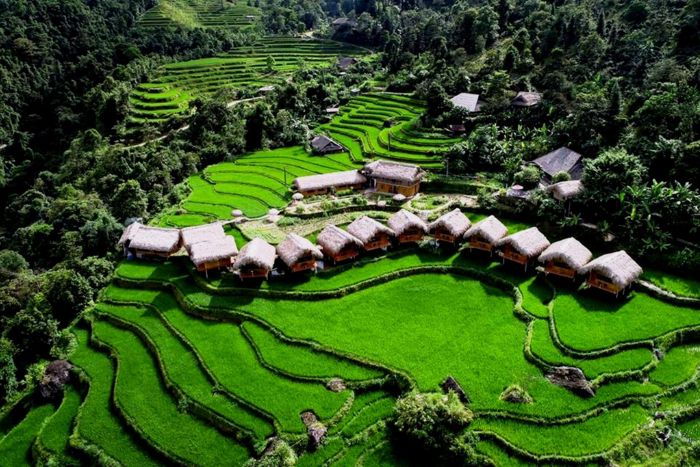 Hoang Su Phi Lodge - Mode de vie vert dans la culture des Dao rouge du village de Thong Nguyen