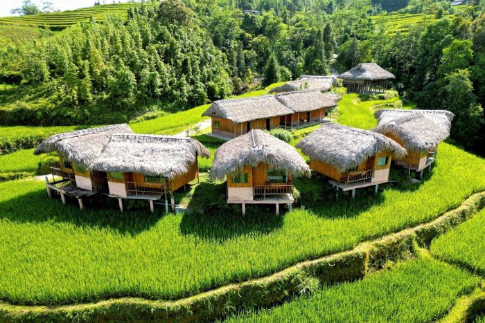 Hoang Su Phi Binh Minh Homestay au village de Thong Nguyen