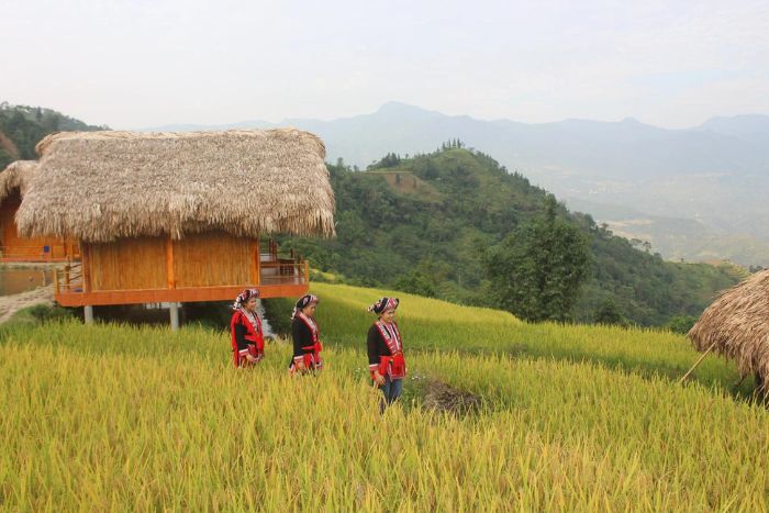 La vie quotidienne au village de Thong Nguyen