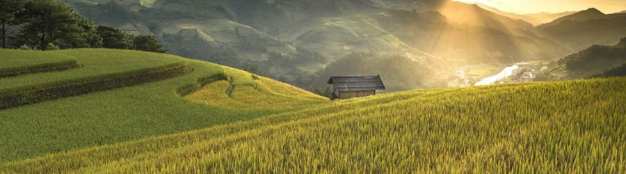 Village de Thong Nguyen à Hoang Su Phi, Ha Giang