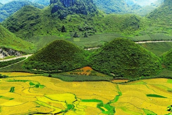 Montagnes jumelles de la Fée à l'automne - la saison du riz mûr à Ha Giang