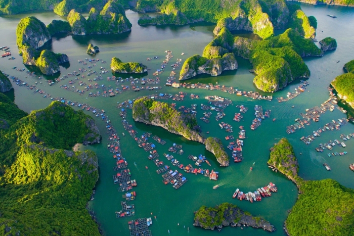 Pourquoi choisir une croisière dans la baie de Lan Ha pour votre voyage ?