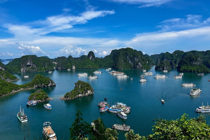 Vivre une croisière dans la baie de Lan Ha – point fort de votre itinéraire au Vietnam