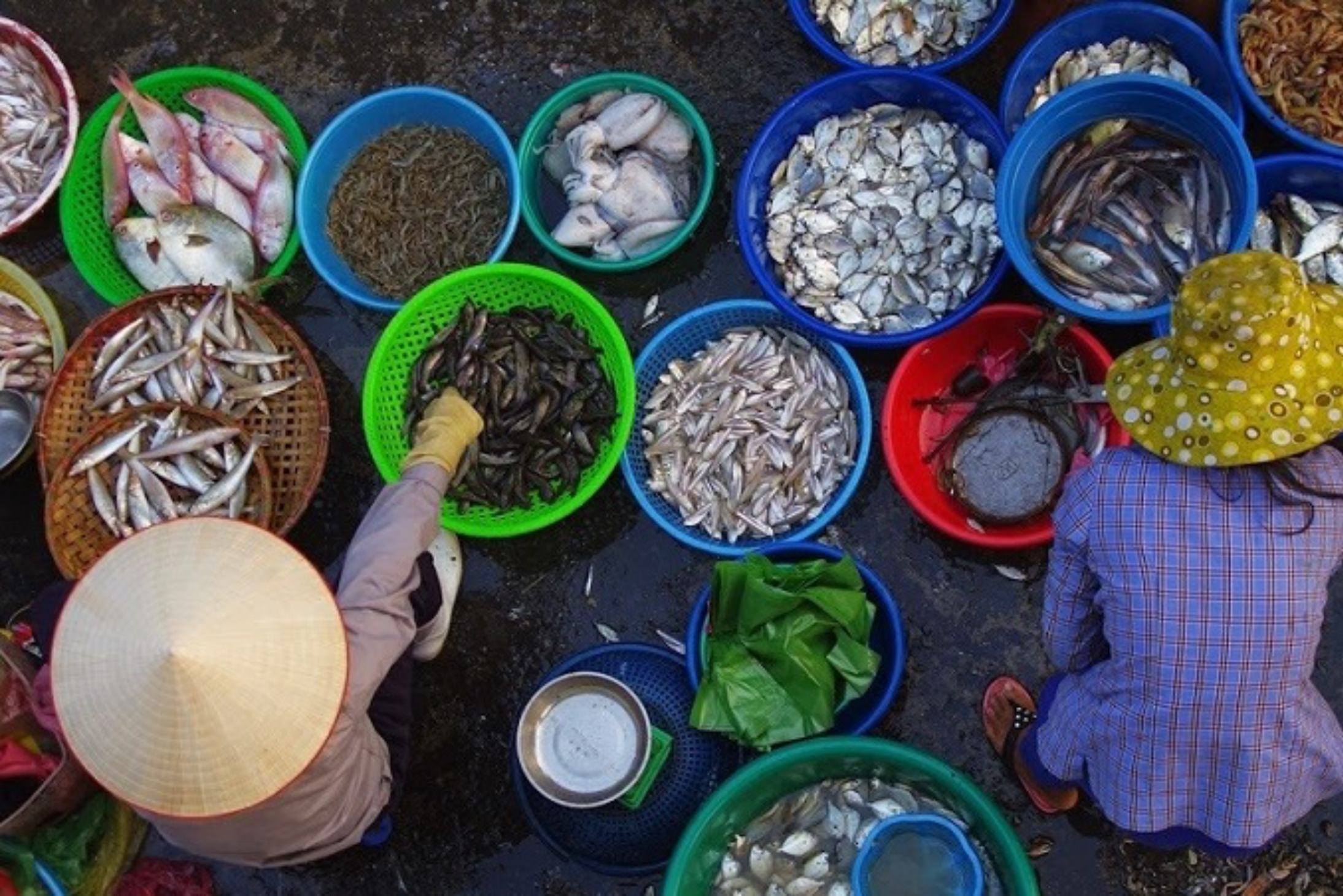 Le marché hebdomadaire à Halong