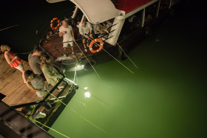 La pêche au calmar sur la croisière La Regina Legend 4 étoiles