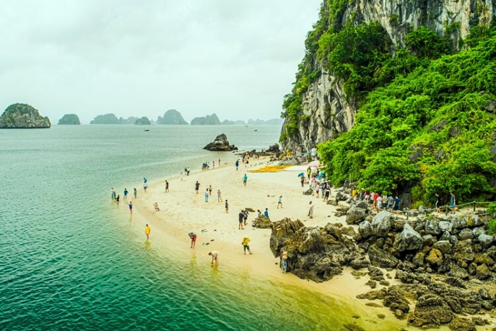 Entre îlots calcaires et mer turquoise: Baignade estivale à la baie d'Halong