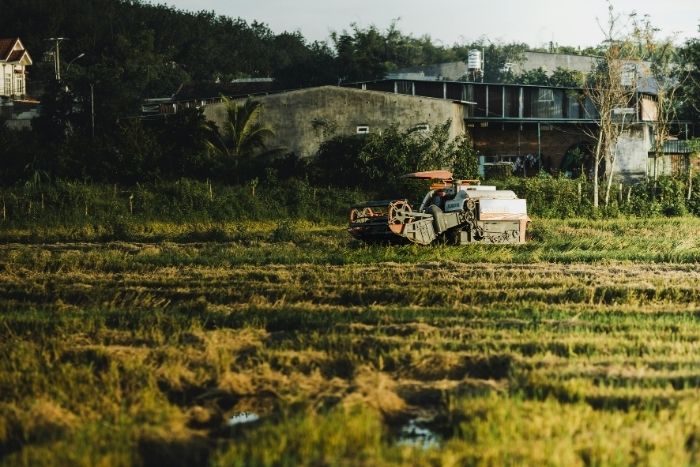 Découvrez le rythme paisible de la vie quotidienne des habitants de Mang Den