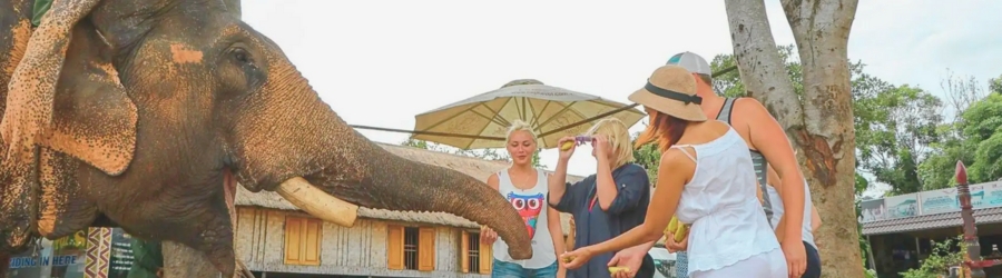 Quelle destination choisir: Dalat ou Buon Ma Thuot ?