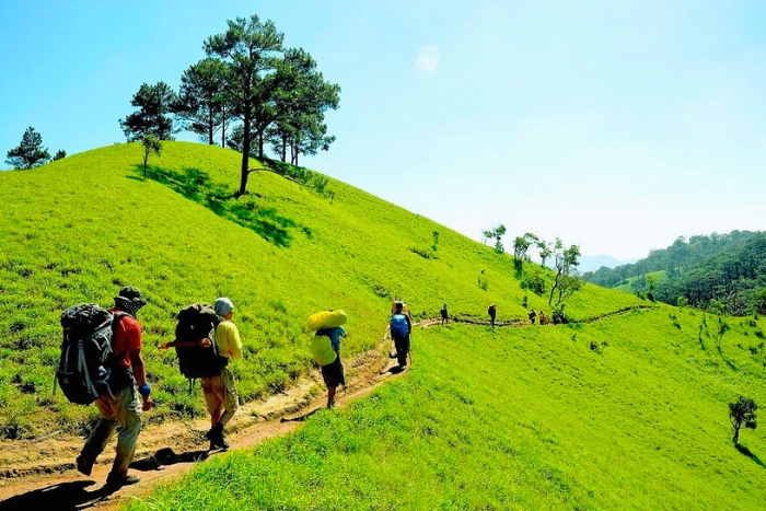 Entre montagnes et hauts plateaux - Quelle destination choisir au Vietnam ?