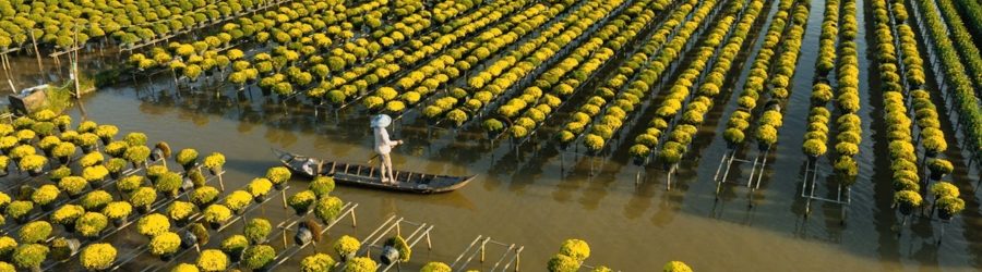 Top 15+ villages artisanaux &agrave; Saigon et dans le Delta M&eacute;kong Vietnam