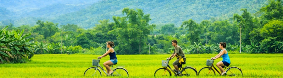 Itinéraire agricole et culturel en 2 semaines au Vietnam