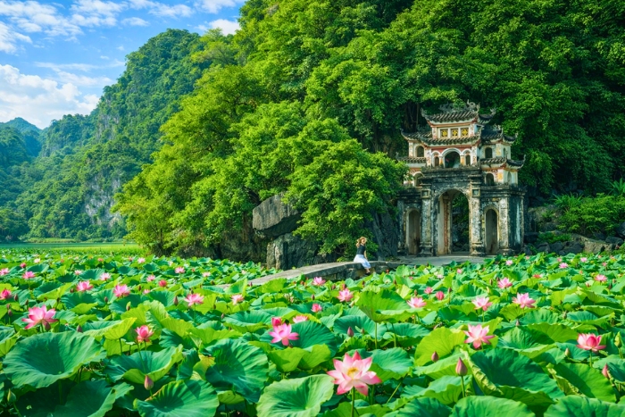 Explorer la pagode de Bich Dong, havre de paix &agrave; Ninh Binh