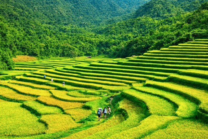 Contempler les paysages paisibles du village de Don