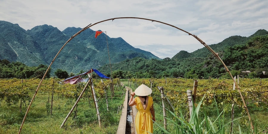 Visiter à Mai Chau