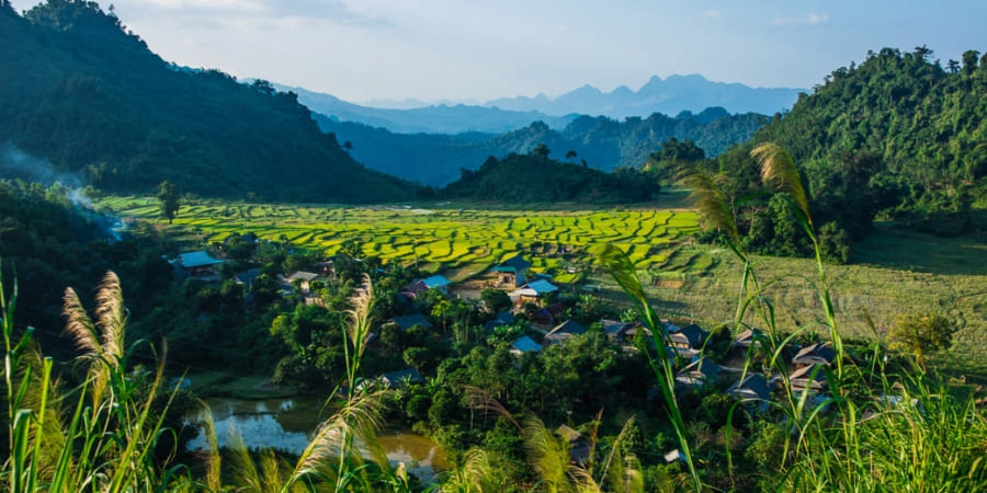 Mai Chau