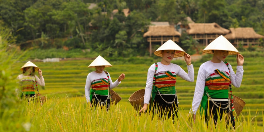 Groupe ethnique Thai à Mai Chau