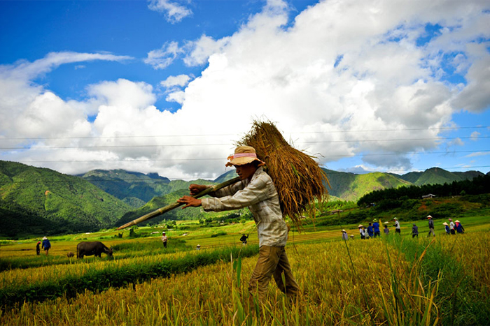 Découvrez Pu Luong Vietnam