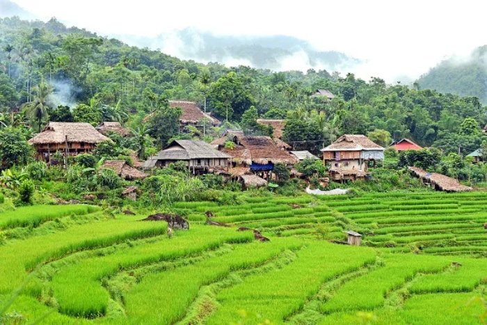 Le paysage authentique et pittoresque du village Don &agrave; Pu Luong