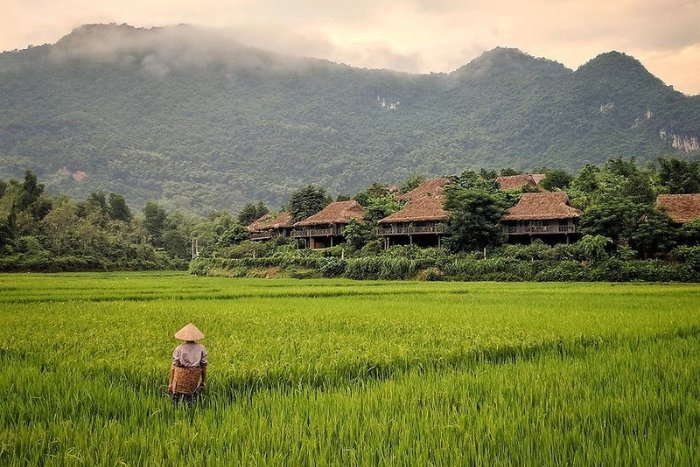 P&eacute;dalez pour admirer de vos propres yeux les paysages naturels po&eacute;tiques de Mai Chau Pu Luong