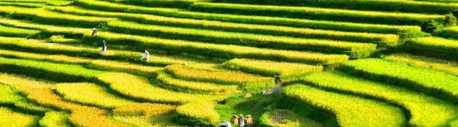 Pourquoi opter pour un circuit &agrave; v&eacute;lo &agrave; Mai Chau et Pu Luong ?
