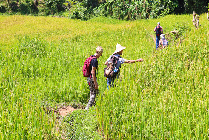 Treks dans les villages ethniques à Mai Chau