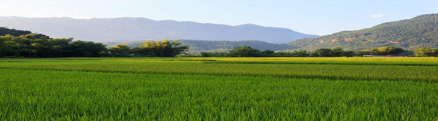 Mai Chau au Vietnam