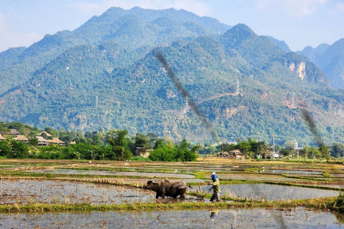 Vallée de Mai Chau en novembre