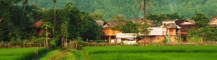 Meilleure période pour visiter Mai Chau