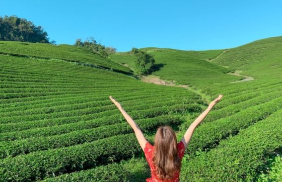 Choisir Mai Chau Ou Moc Chau Pour Le Meilleur Voyage Vietnam