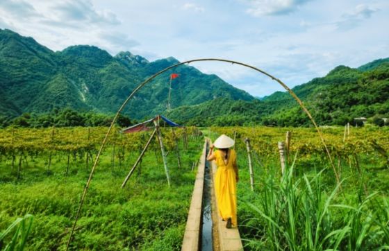 Quand Partir À Mai Chau ? Meilleure Période Pour Visiter Mai Chau