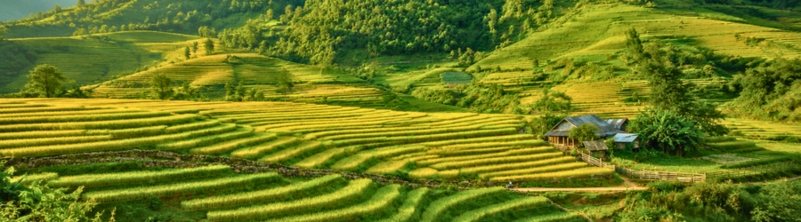 Quand partir à Mai Chau Vietnam ?