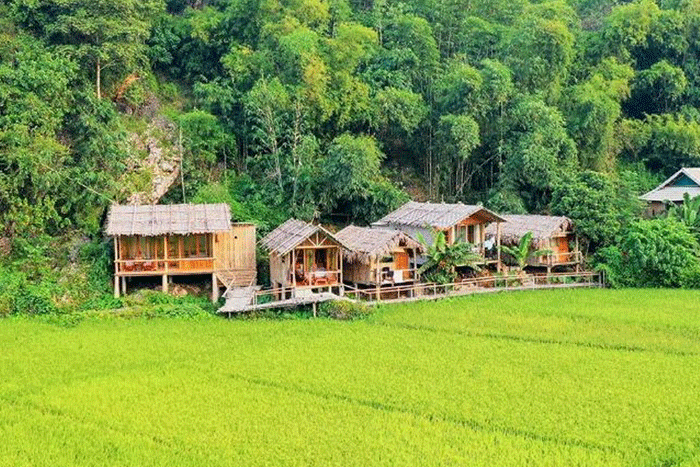 Little Mai Chau Homestay