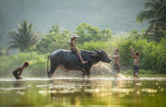 Une Journée à Mai Chau, Vietnam: Que Faire Et Que Voir à Mai Chau En 1 Jour ?