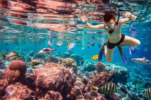 Quelle Est La Meilleure Période Pour Faire Du Snorkeling Au Sud Du Vietnam ?