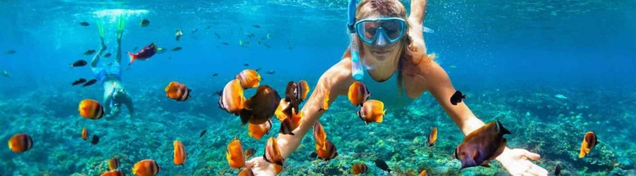 Quelle Est La Meilleure Période Pour Faire Du Snorkeling Au Sud Du Vietnam ?