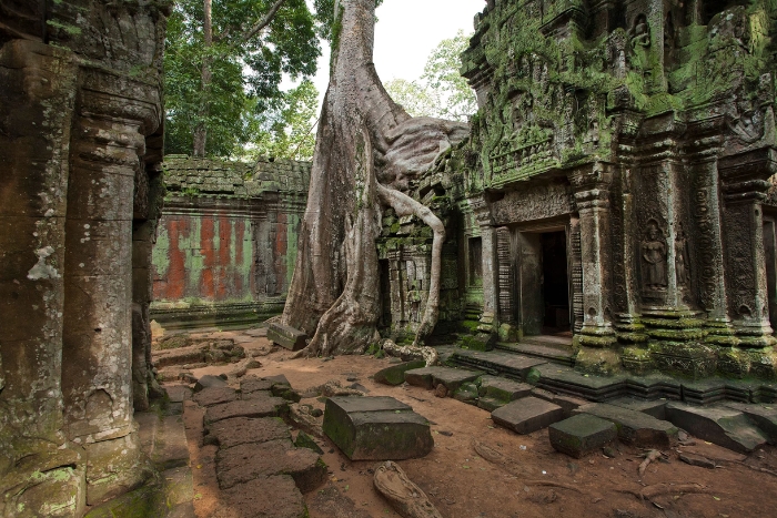 Ta Prohm, étape incontournable d’un circuit combiné Vietnam Cambodge de 3 semaines